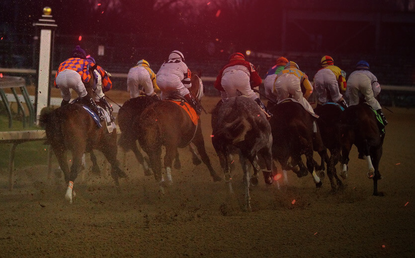 image of race horses in a race