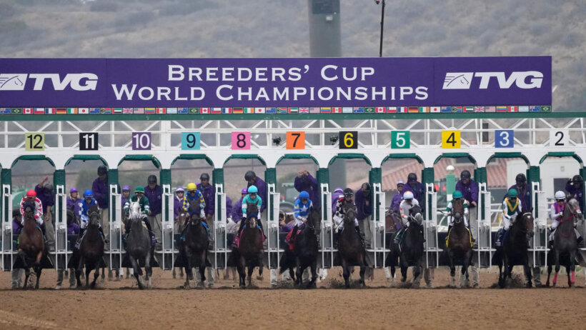 Horses running in the Breeders’ Cup Juvenile race