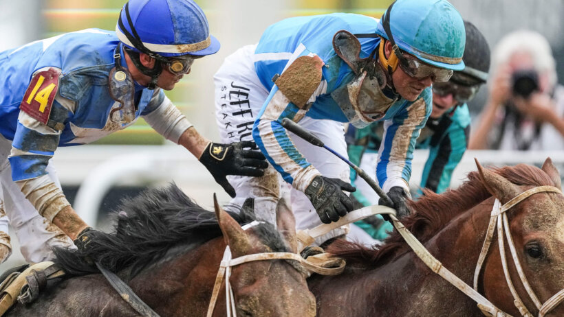 Belmont Stakes Best Bets