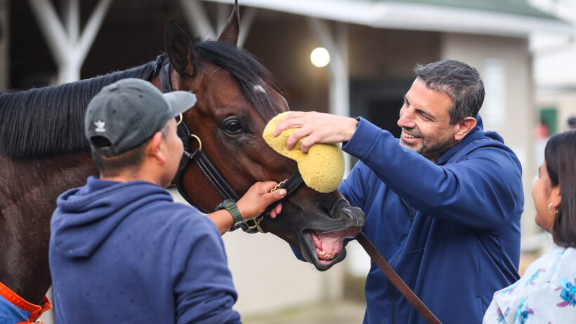 Mike Repole cleaning his horse, Fierceness, after a workout