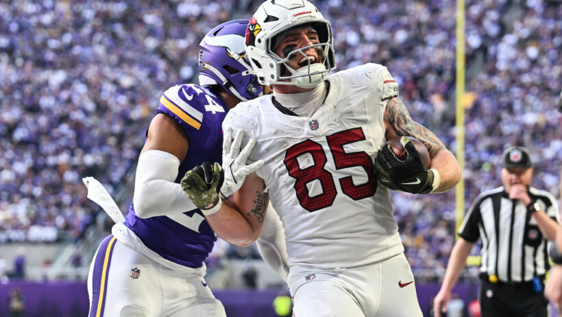 NFL: Arizona Cardinals at Minnesota Vikings