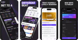 hard rock bet app