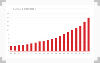 bar graph showing payouts on various odds in horse racing