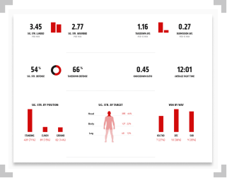 Jan Blachowicz fight statistics with percentages and bar graph